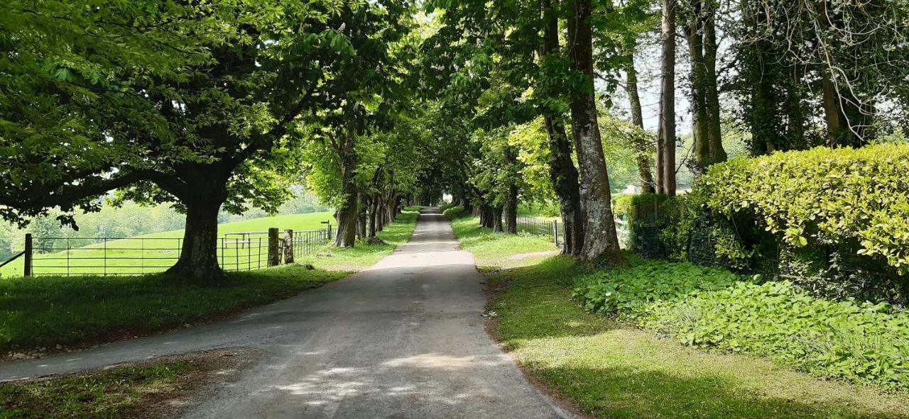 Rose Farm Bed and Breakfast Honiton Εξωτερικό φωτογραφία