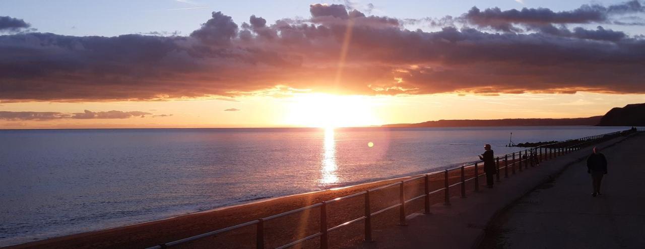 Rose Farm Bed and Breakfast Honiton Εξωτερικό φωτογραφία
