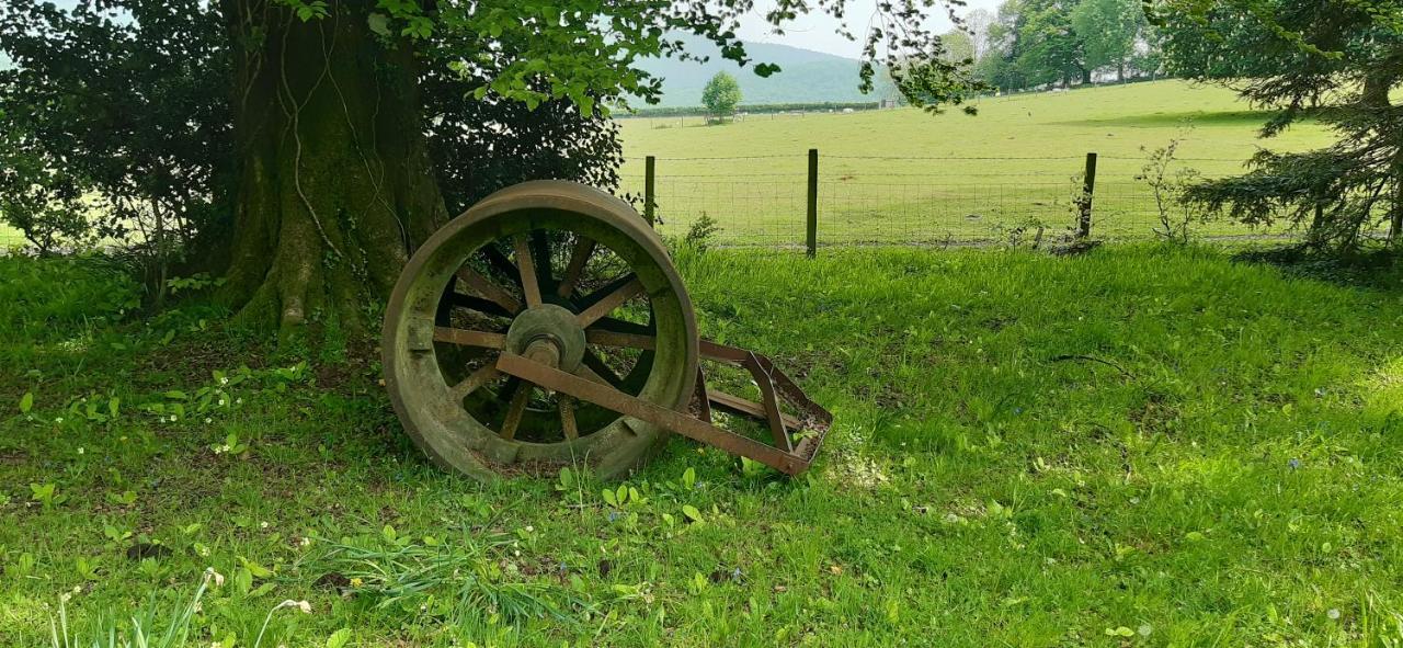 Rose Farm Bed and Breakfast Honiton Εξωτερικό φωτογραφία