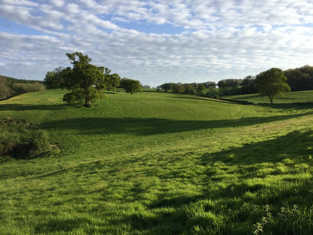 Rose Farm Bed and Breakfast Honiton Εξωτερικό φωτογραφία