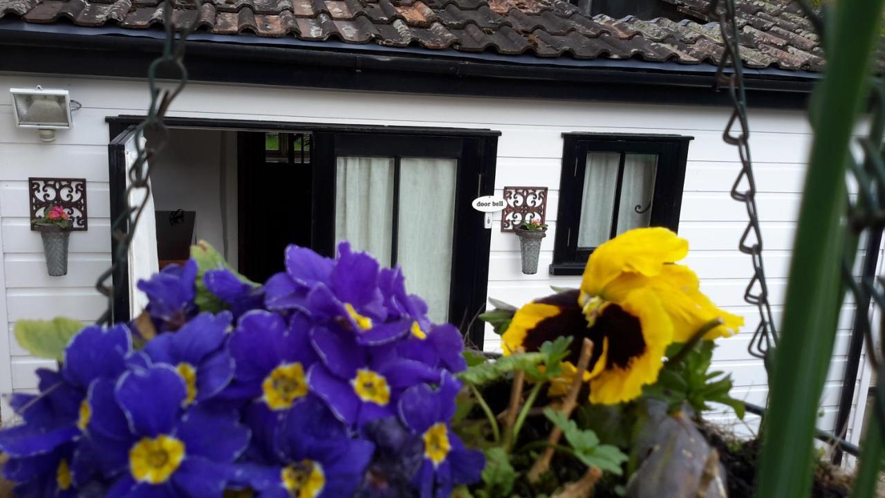 Rose Farm Bed and Breakfast Honiton Εξωτερικό φωτογραφία