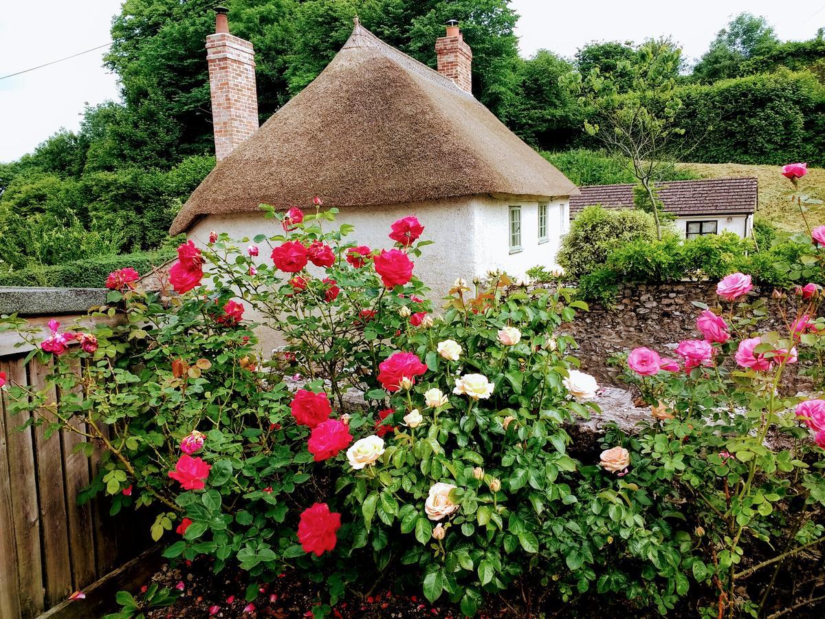 Rose Farm Bed and Breakfast Honiton Εξωτερικό φωτογραφία